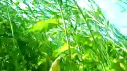 प्यार में एक युवा सेक्सी फिल्म एचडी हिंदी में जोड़े के साथ पोर्न